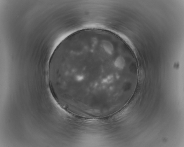 X0000091961295200709201336