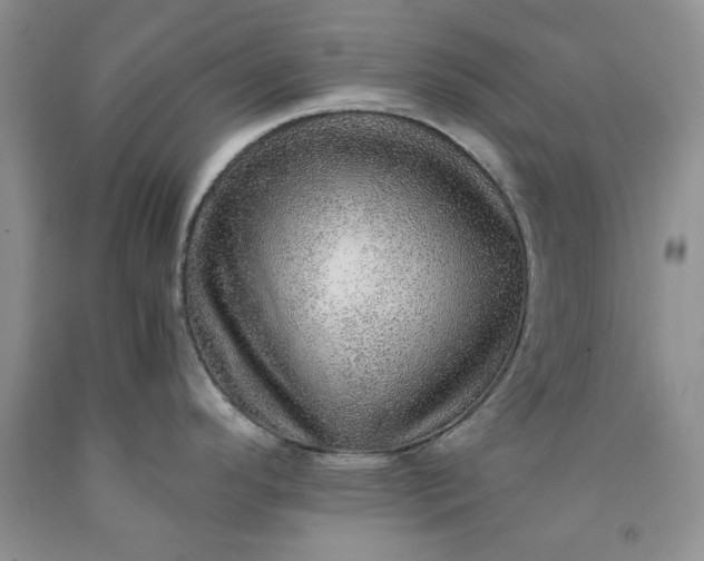 X0000091961296200709201336