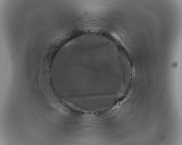 X0000091961297200709201335