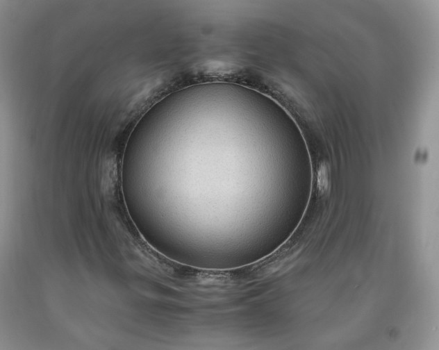 X0000091961299200709201335