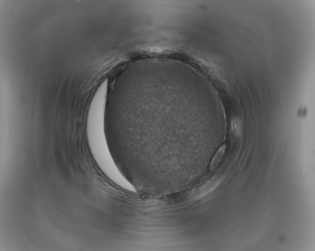 X0000091961300200709201335