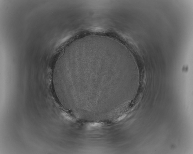 X0000091961301200709201335