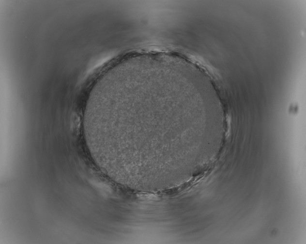 X0000091961302200709201335