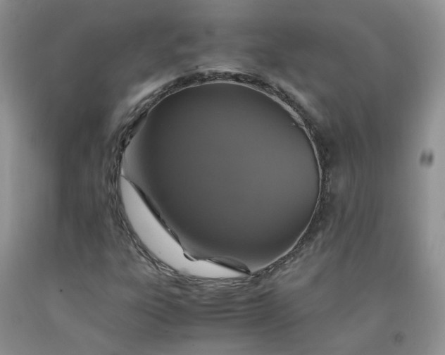 X0000091961303200709201335