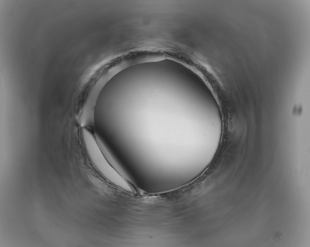 X0000091961304200709201335