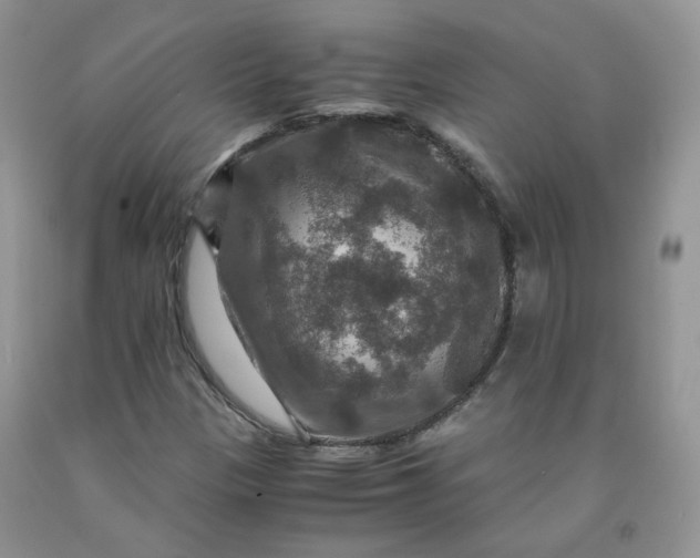 X0000091961305200709201335