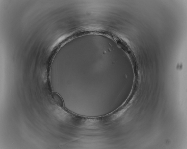 X0000091961306200709201335