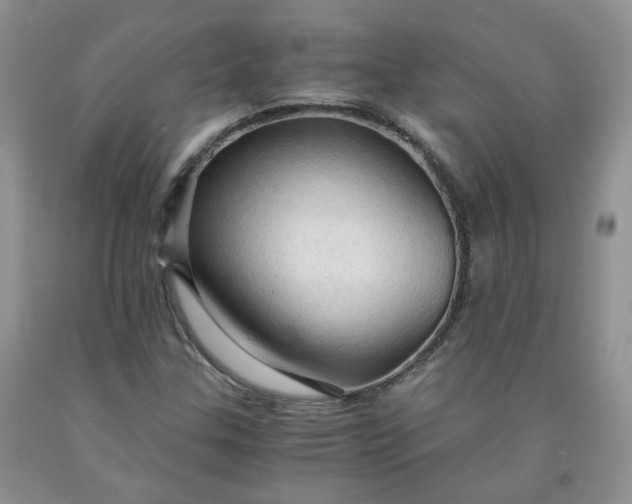 X0000091961307200709201335