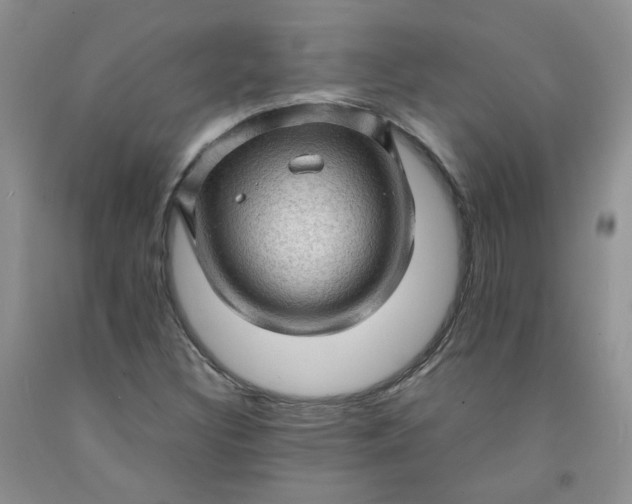 X0000091961308200709201335