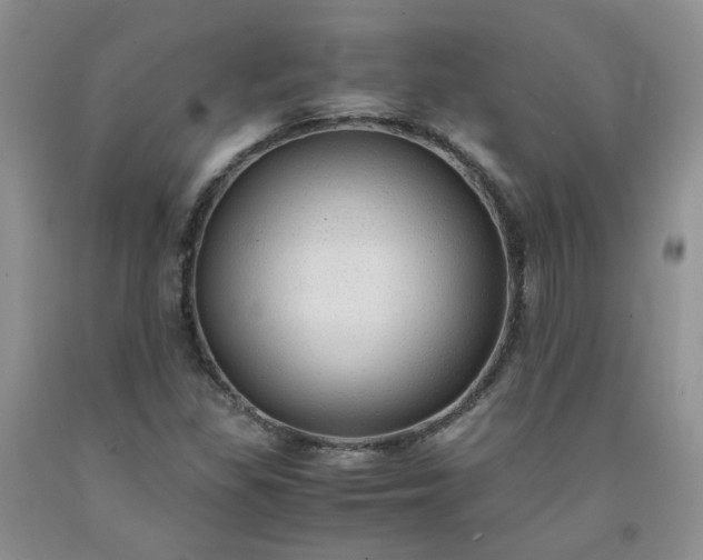 X0000091961309200709201335