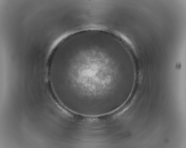 X0000091961310200709201335