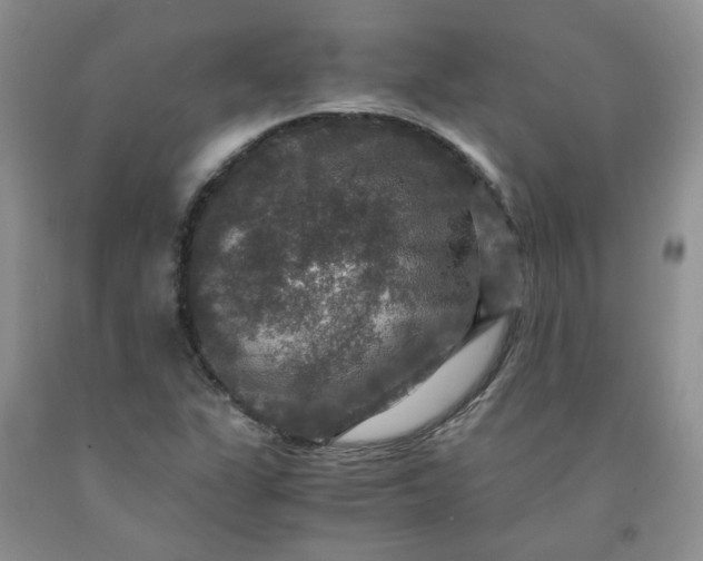 X0000091961311200709201335