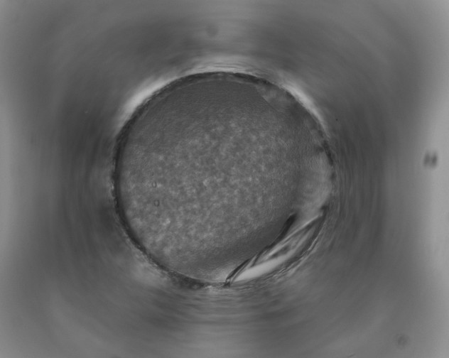 X0000091961312200709201335