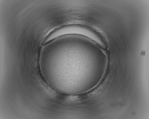 X0000091961313200709201335