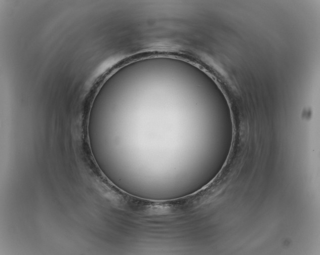 X0000091961315200709201335