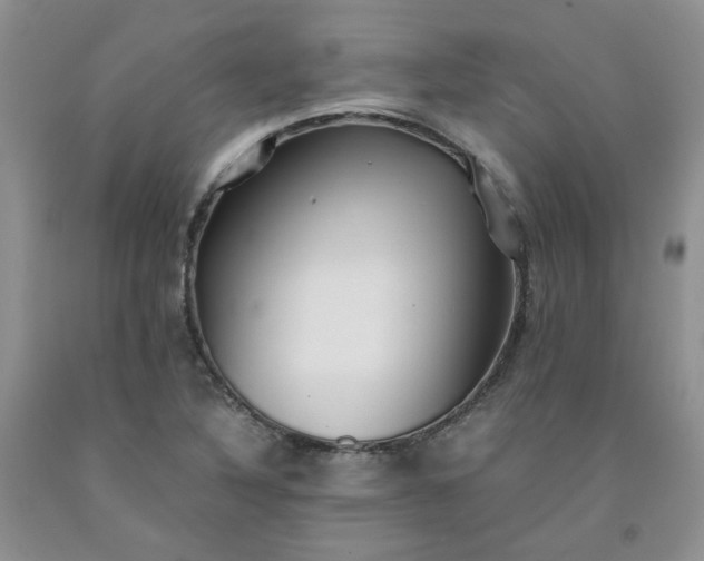 X0000091961316200709201335