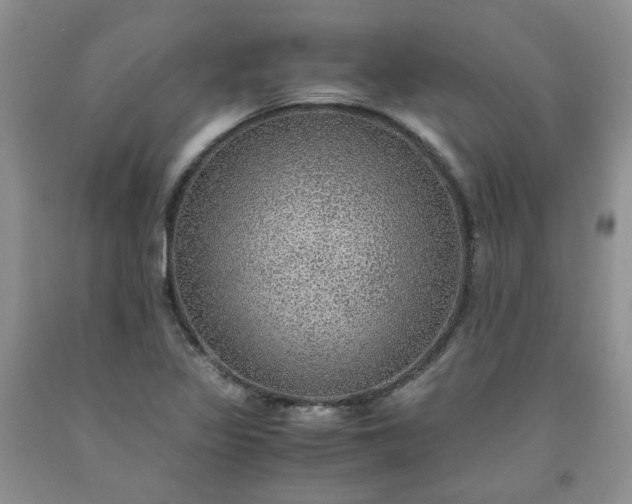 X0000091961317200709201335