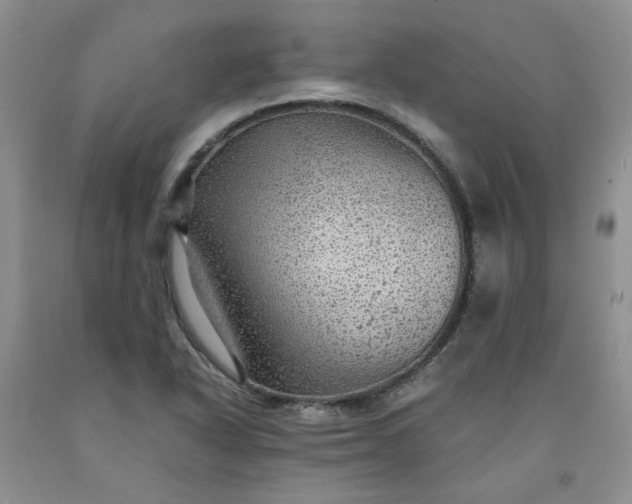 X0000091961318200709201335