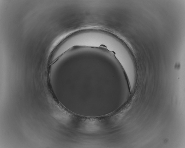 X0000091961319200709201335