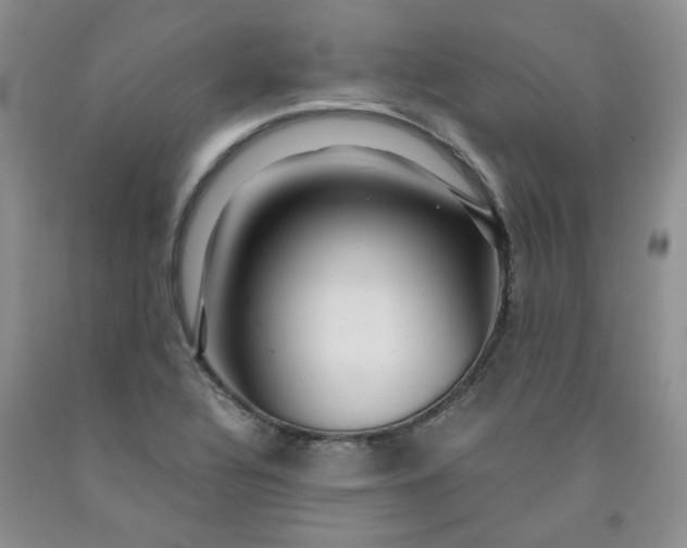 X0000091961320200709201335