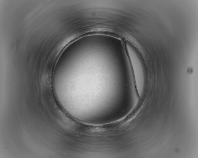 X0000091961321200709201335