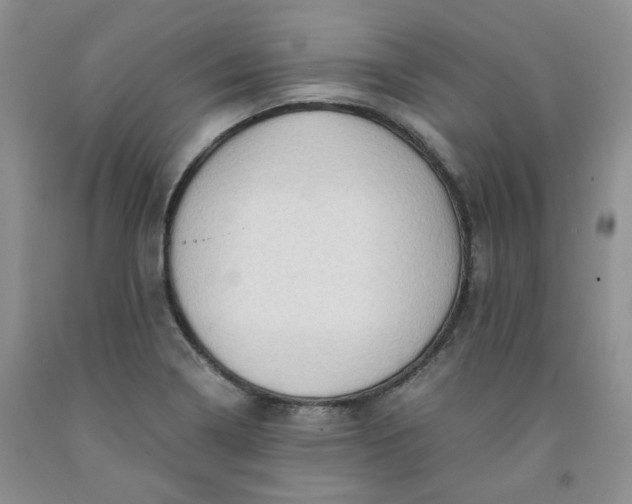 X0000091961322200709201335