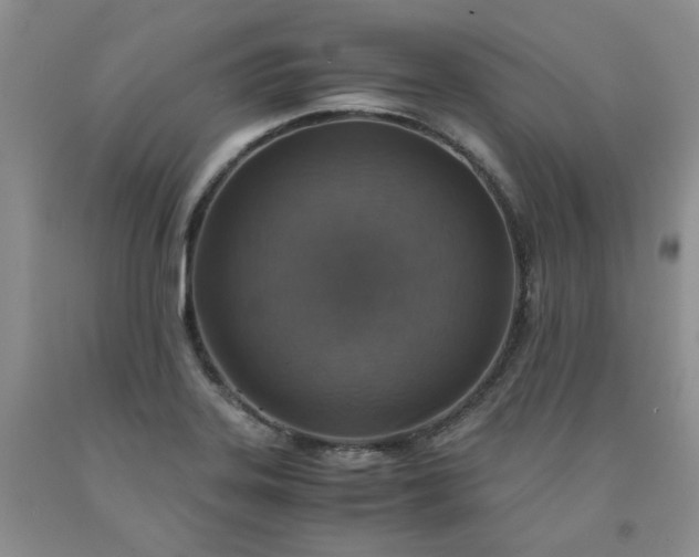 X0000091961323200709201335