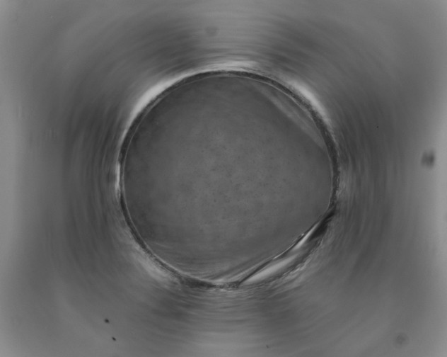 X0000091961324200709201335