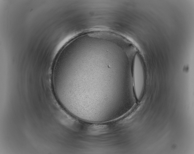 X0000091961325200709201335