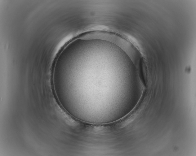 X0000091961326200709201335