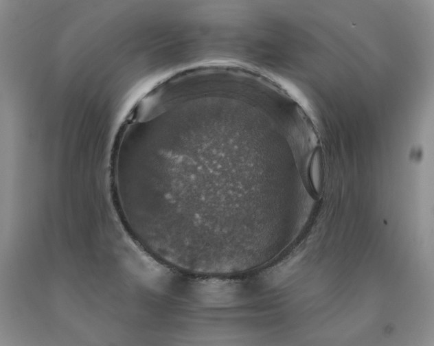 X0000091961327200709201336