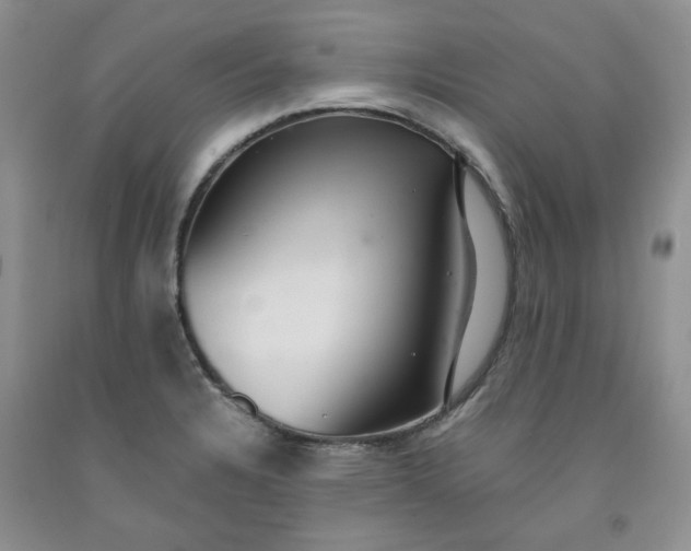 X0000091961328200709201336