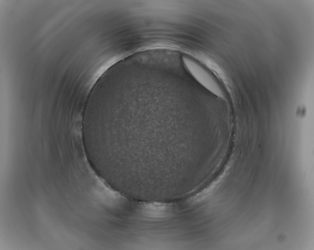 X0000091961329200709201336