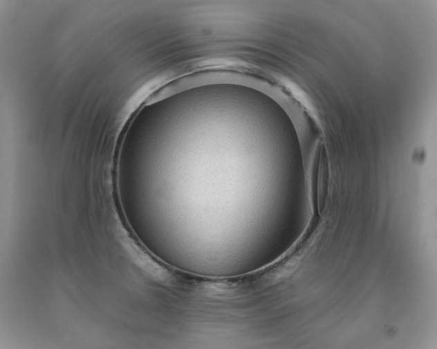 X0000091961330200709201336