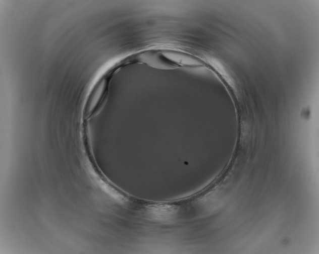 X0000091961331200709201336