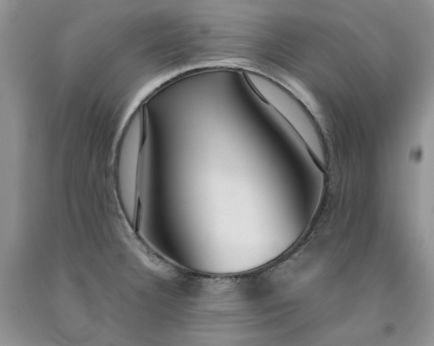 X0000091961332200709201336