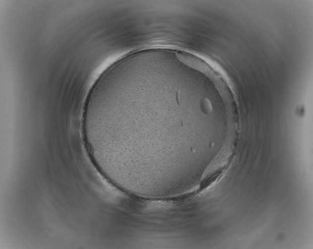 X0000091961333200709201336