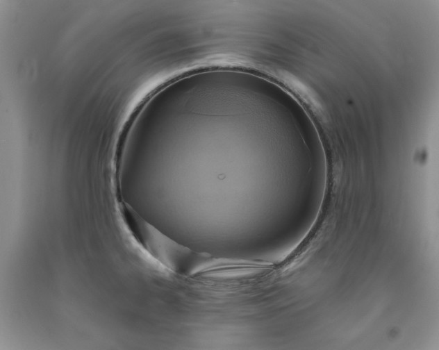 X0000091961334200709201336