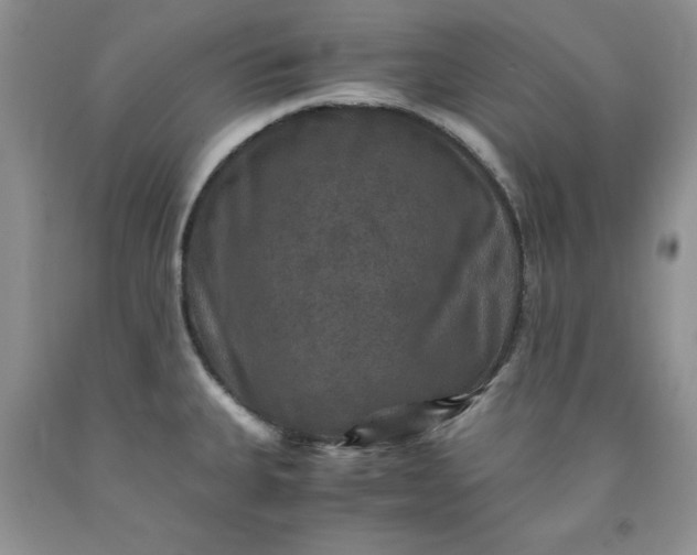 X0000091961335200709201336