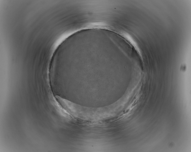 X0000091961336200709201336