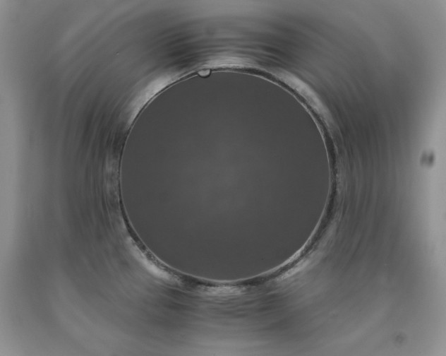 X0000091961337200709201336