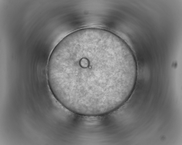 X0000091961338200709201336