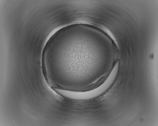 X0000091961339200709201336