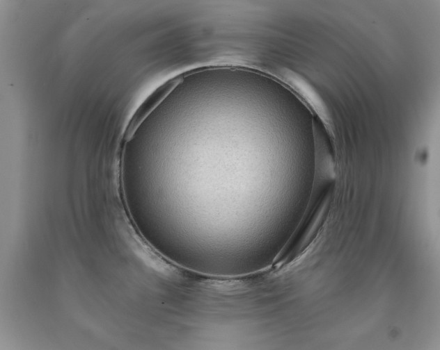 X0000091961340200709201336