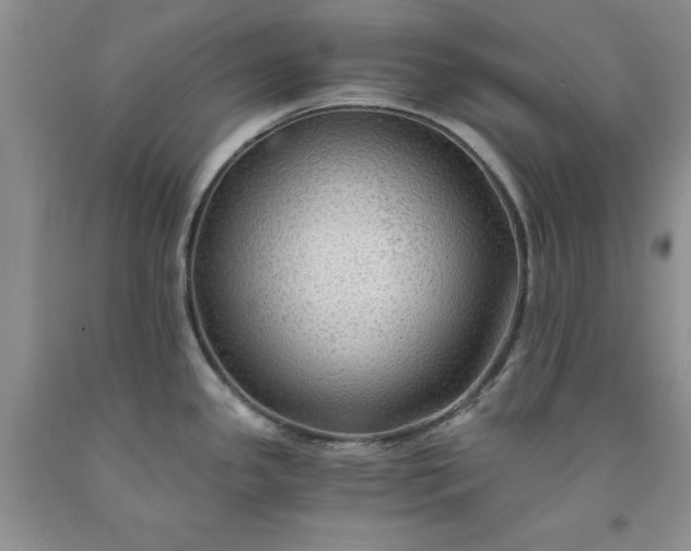 X0000091961341200709201336