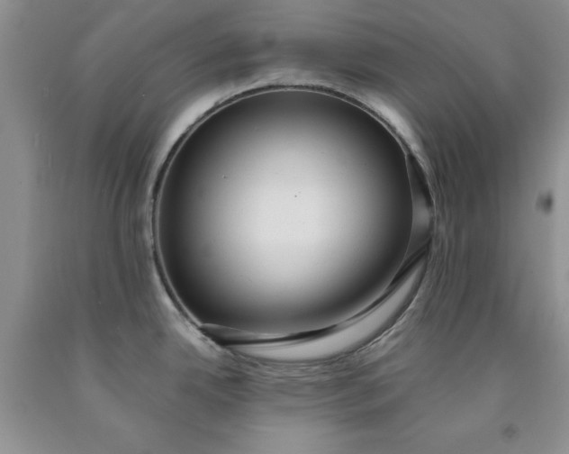 X0000091961342200709201336