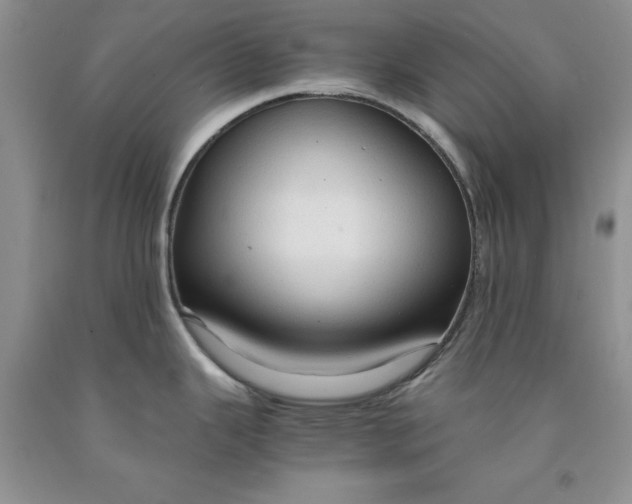 X0000091961343200709201336