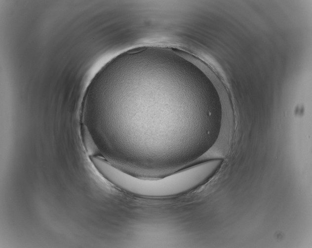 X0000091961344200709201336