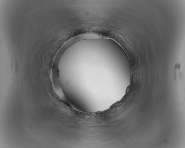 X0000091961345200709201335