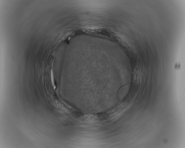 X0000091961346200709201335